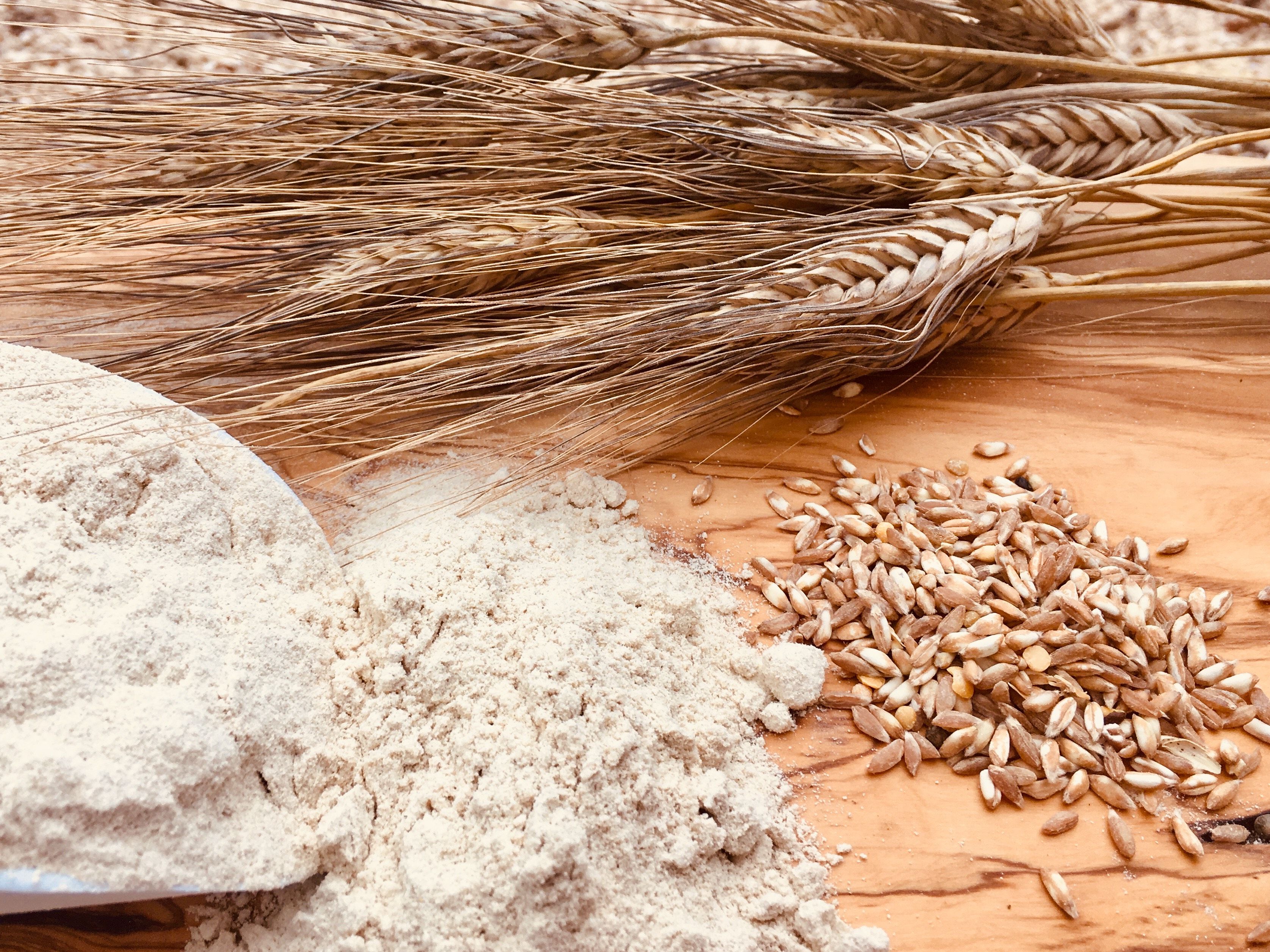 Dal grano alla pasta